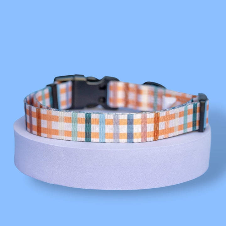 Vintage Gingham Dog Collar | Value Range Dog Collar