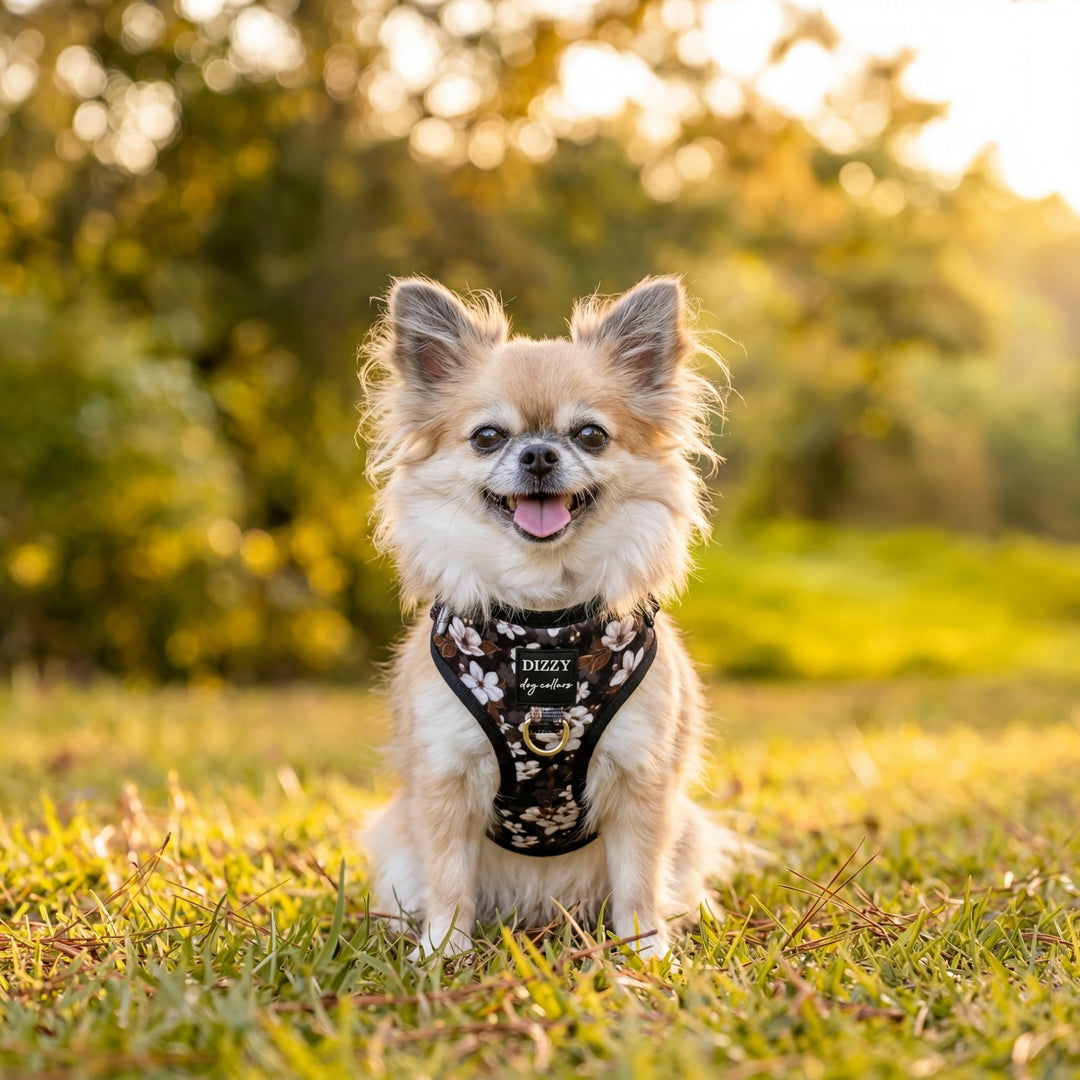 DOG HARNESS | Midnight Cherry Blossoms | Neck Adjustable Dog Harness