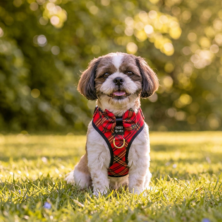 DOG HARNESS | Red and Gold Plaid | Adjustable Harness with Removable Bow Tie
