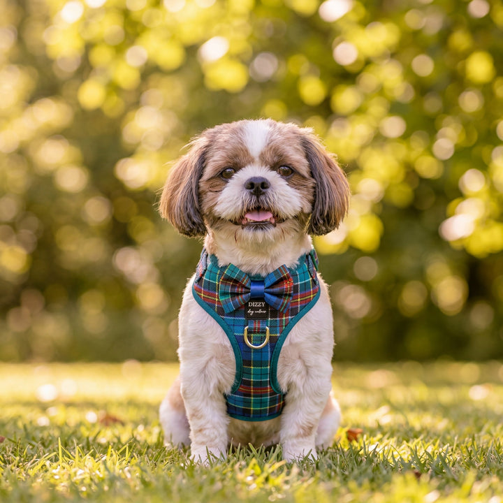 DOG HARNESS | The Hamish: Scottish Tartan | Adjustable Dog Harness with REMOVABLE Bow Tie