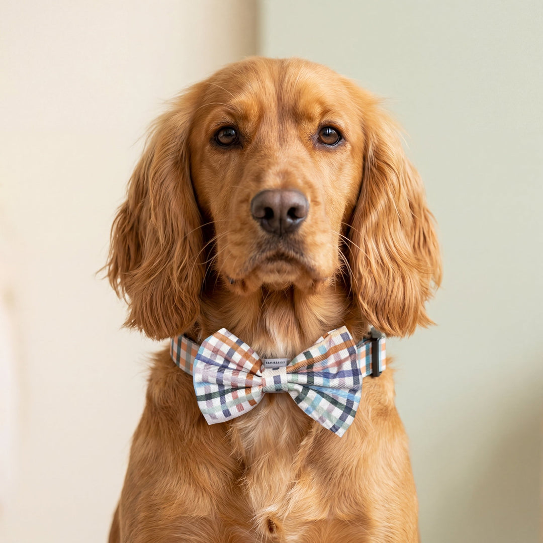 Dog Bow Tie | Vintage Gingham