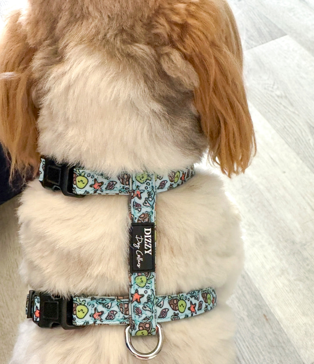 Step in H Harness with front & back attachment | Turtle Tots | Fully Padded Canvas & Neoprene Harness