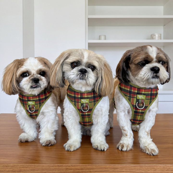 DOG HARNESS | An Olive Christmas  | Neck Adjustable Dog Harness