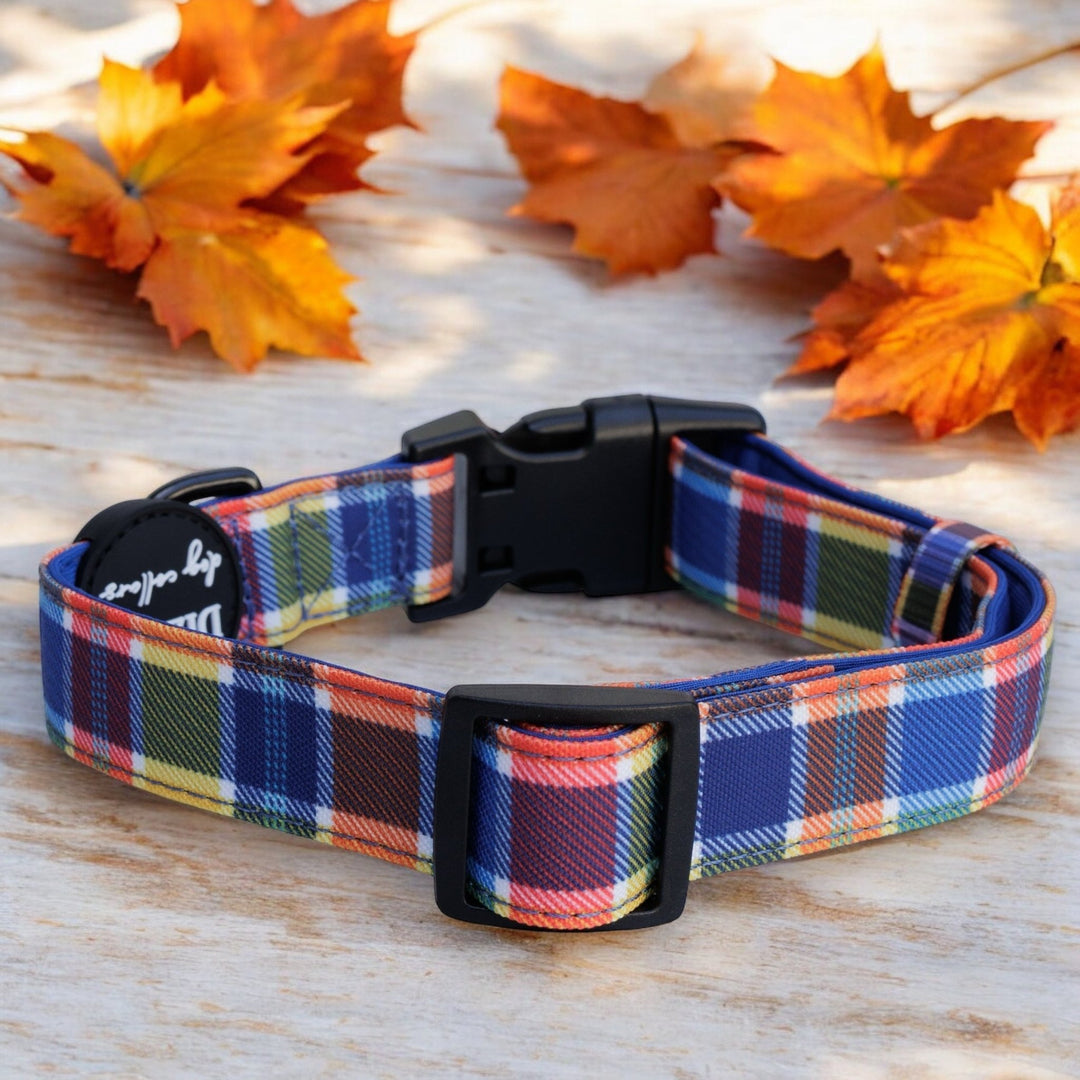 Autumn Dog Collars Pup Chic Boutique Unique Design Collar For Dogs
