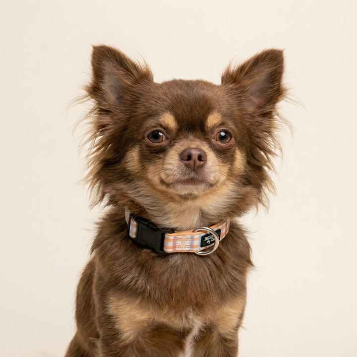 Vintage Gingham Dog Collar | Neoprene & Stainless Steel