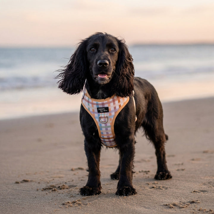 DOG HARNESS | Vintage Gingham | Neck Adjustable & Stainless Steel