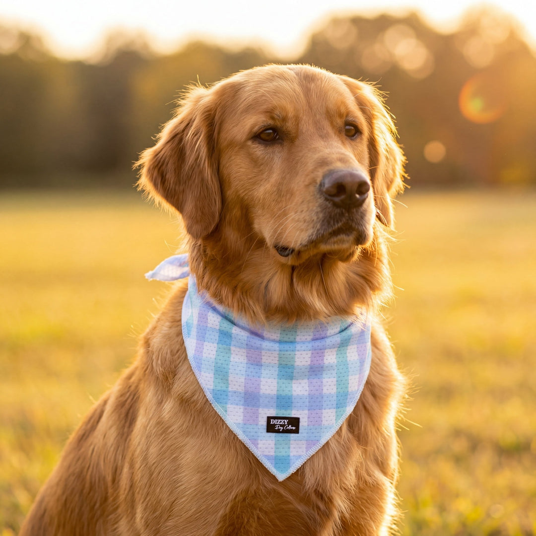 Breezy Blue Gingham Dog Bandana - Tie Up Style