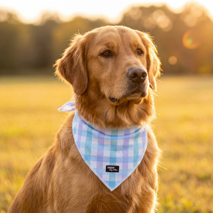 Breezy Blue Gingham Dog Bandana - Tie Up Style