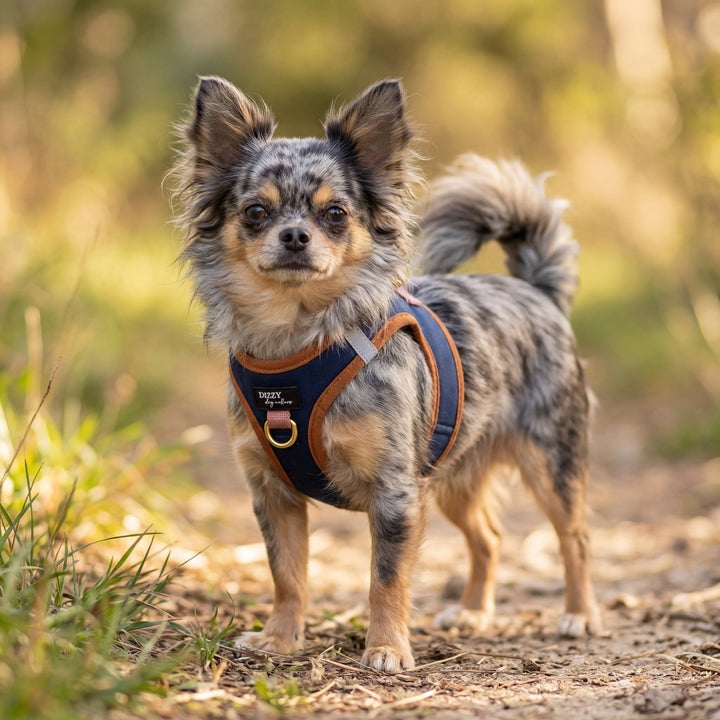 Step In Dog Harness: No Pull Harness | For XS to Medium Dogs & Cats | The Coco