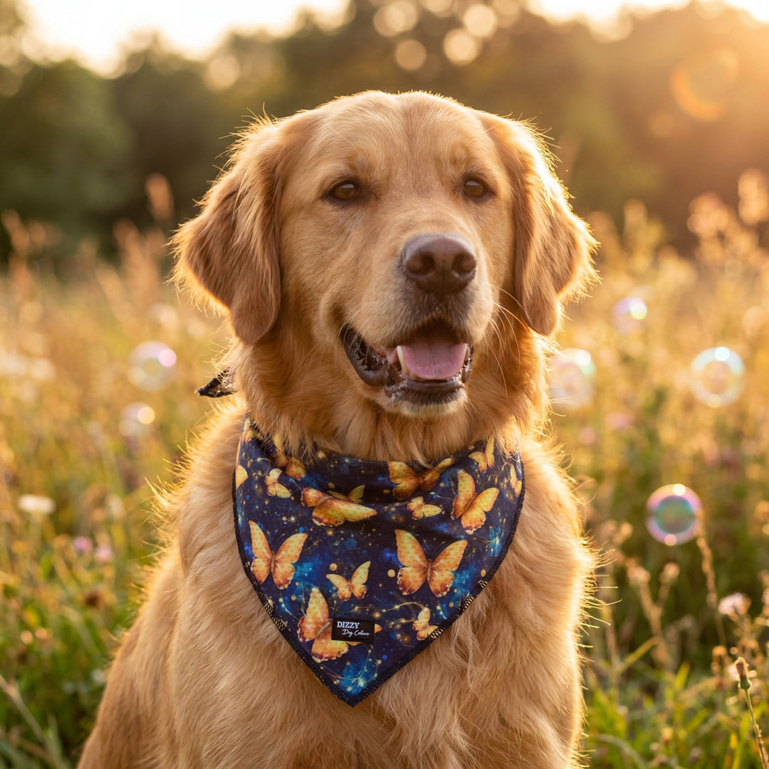 Golden Glow Butterflies Dog Bandana - Tie Up Style