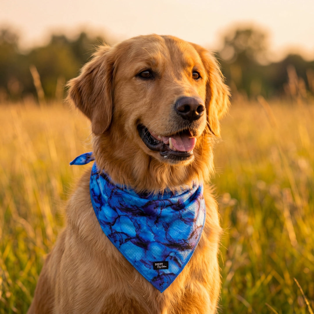 Bandana | Tie Up Dog Bandana | Blue Marble