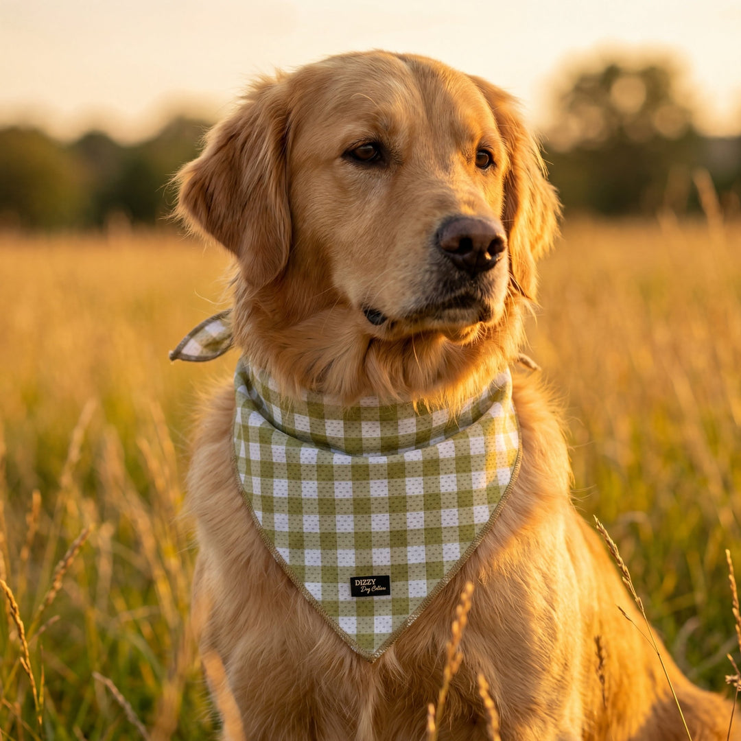 Bandana | Tie Up Dog Bandana | Olive Gingham