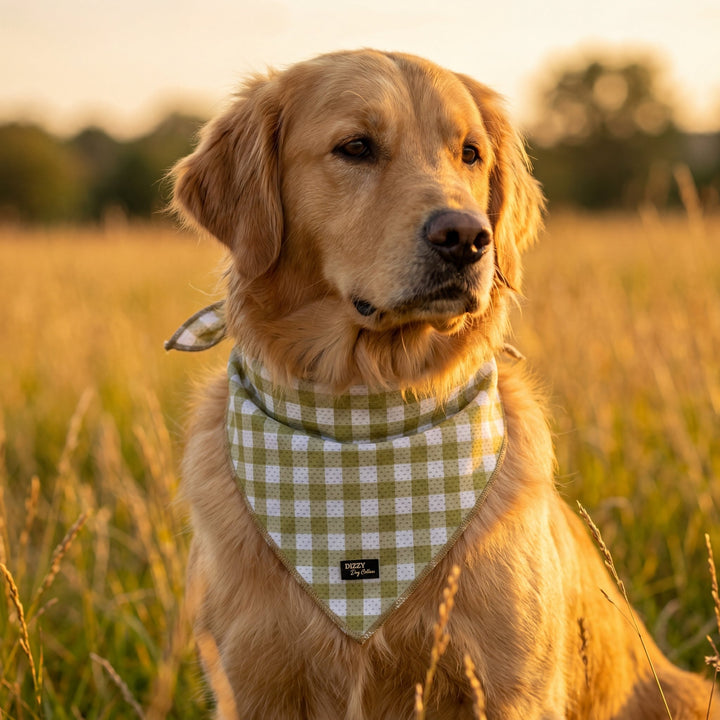 Bandana | Tie Up Dog Bandana | Olive Gingham