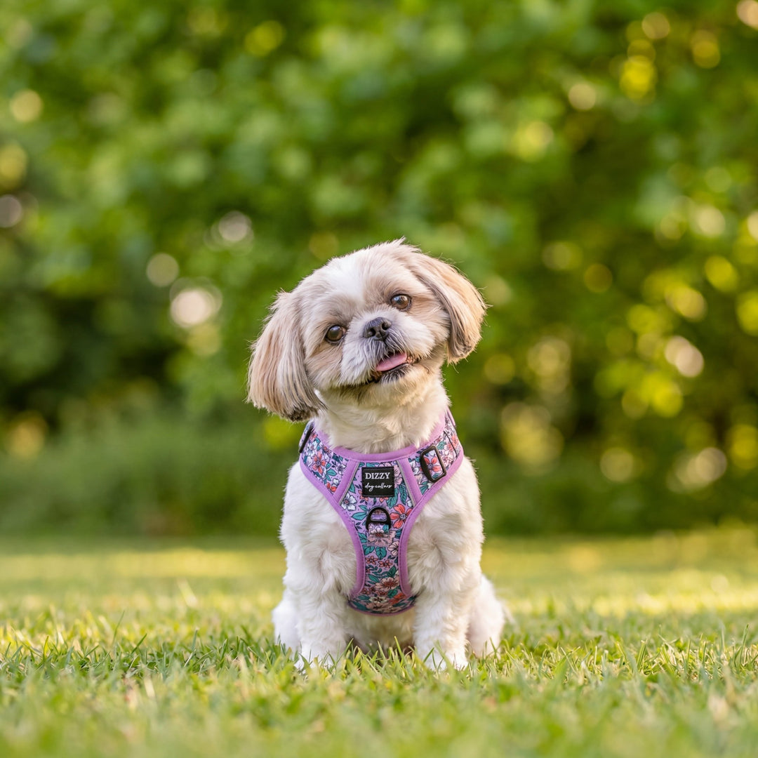 No Pull Dog Harness | Step in | Reflective | Heavy Duty | Easy Reach Handle | Lilac Floral