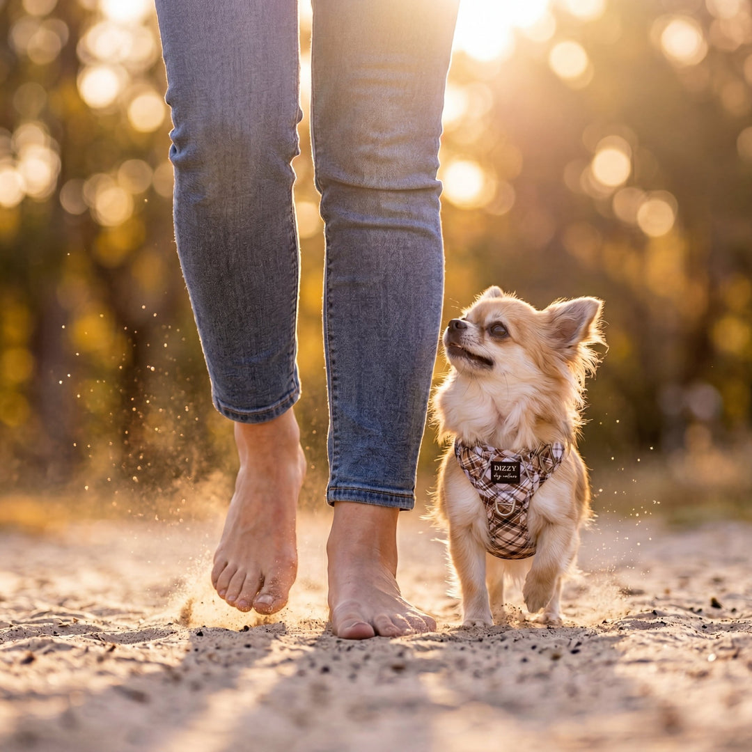 No Pull Dog Harness | Step in | Reflective | Heavy Duty | Easy Reach Handle | Maplewood: Caramel & Brown Plaid