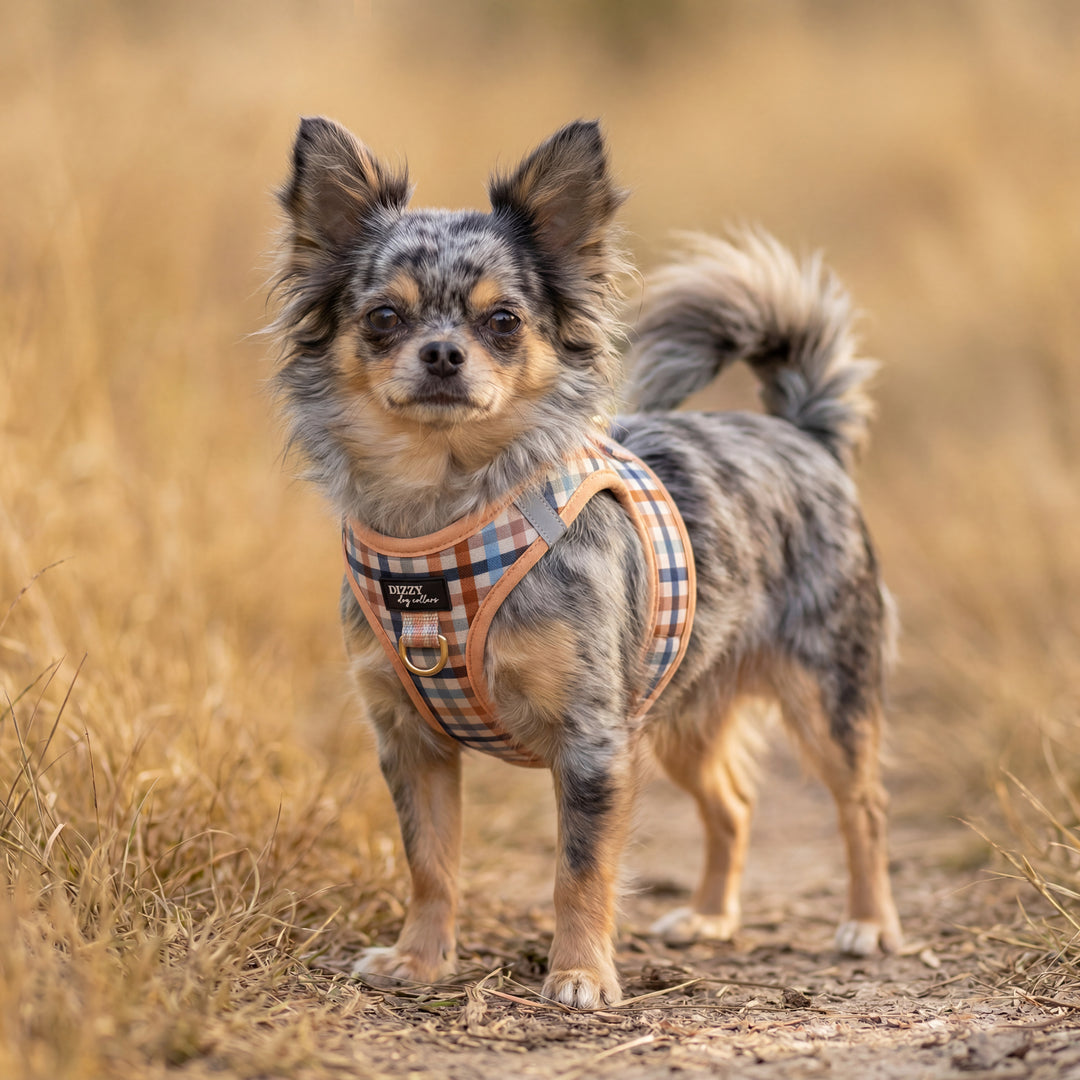 Step In Dog Harness: No Pull Harness | For XS to Medium Dogs & Cats | Vintage Gingham