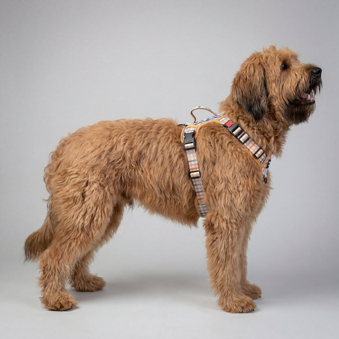 No Pull Dog Harness | Step in | Reflective | Heavy Duty | Easy Reach Handle | Vintage Gingham