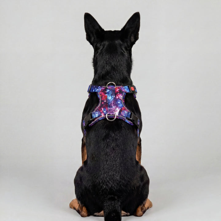 No Pull Dog Harness with Handle | Reflective & Stainless Steel | Galaxy