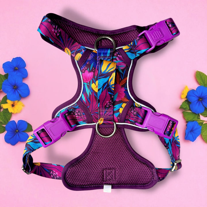 No Pull Dog Harness with Handle | Step in & Reflective | STAINLESS STEEL | Sapphire Showers