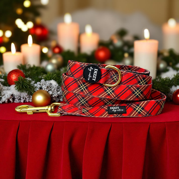 Red and Gold Plaid Dog Leash | Dog Lead
