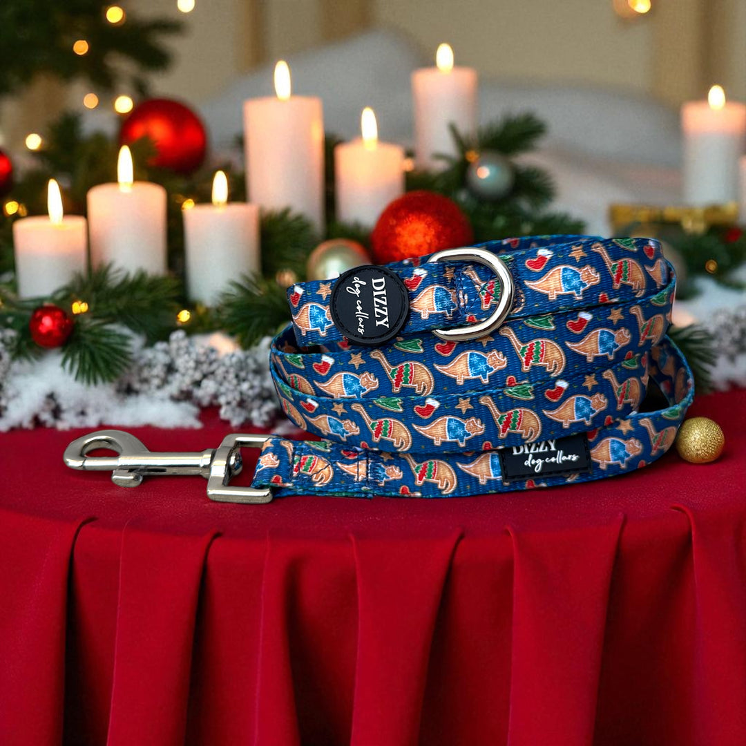 Jolly Jurassic Dog Leash