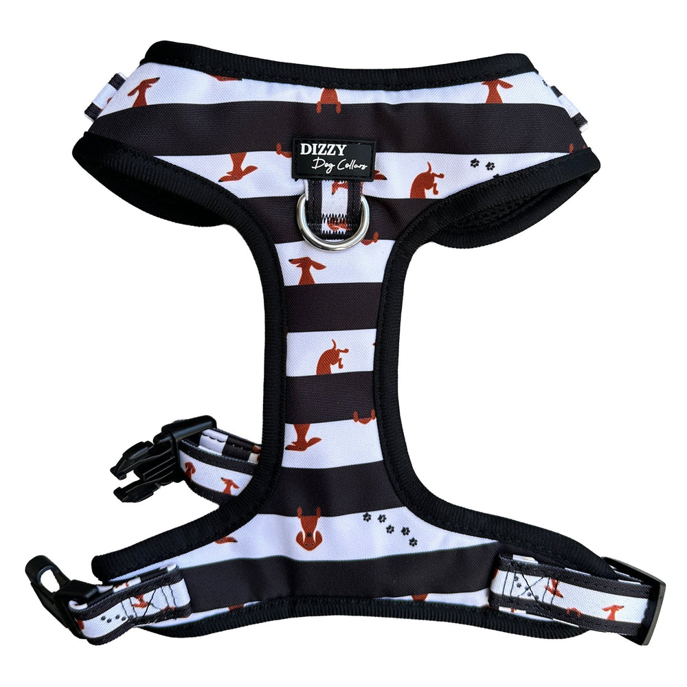 Dog harness with black and white pattern featuring small dogs, brand 'Dizzy' visible.