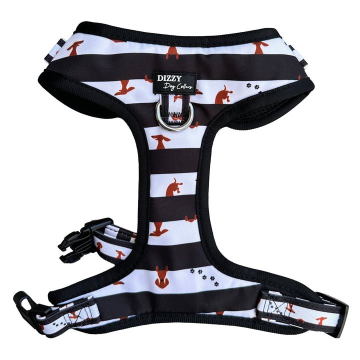 Dog harness with black and white pattern featuring small dogs, brand 'Dizzy' visible.