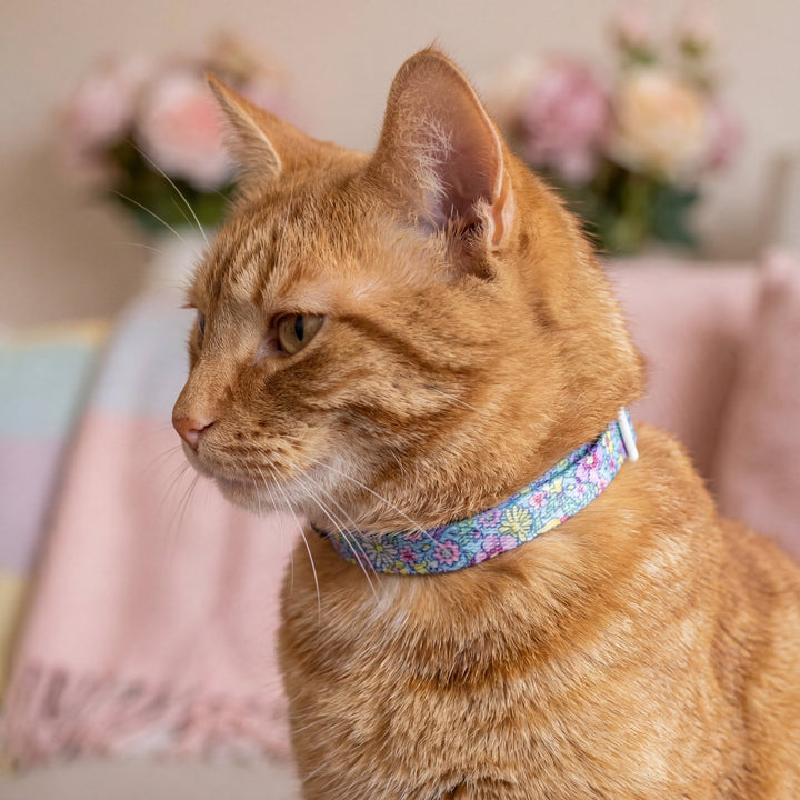 Floral Fable Cat Collar | Toy Breed Dog Collar