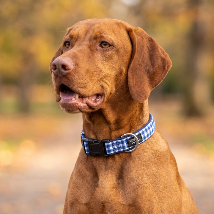 Navy Gingham Dog Collar | Neoprene Dog Collar | Stainless Steel