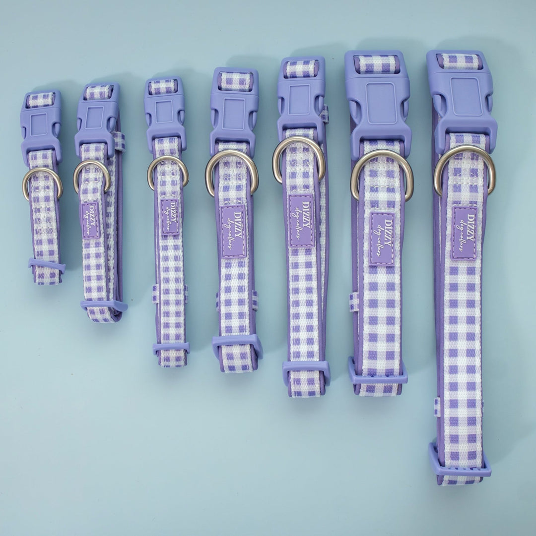 Lavender Gingham Dog Collar | Neoprene Dog Collar | Stainless Steel