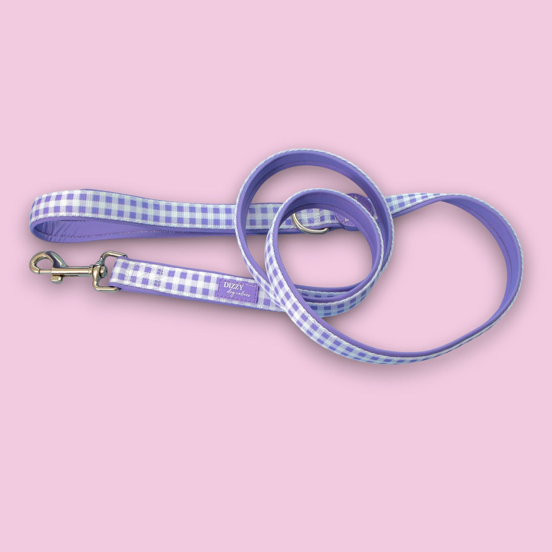 Lavender Gingham Dog Leash | Fully Padded Neoprene Lead