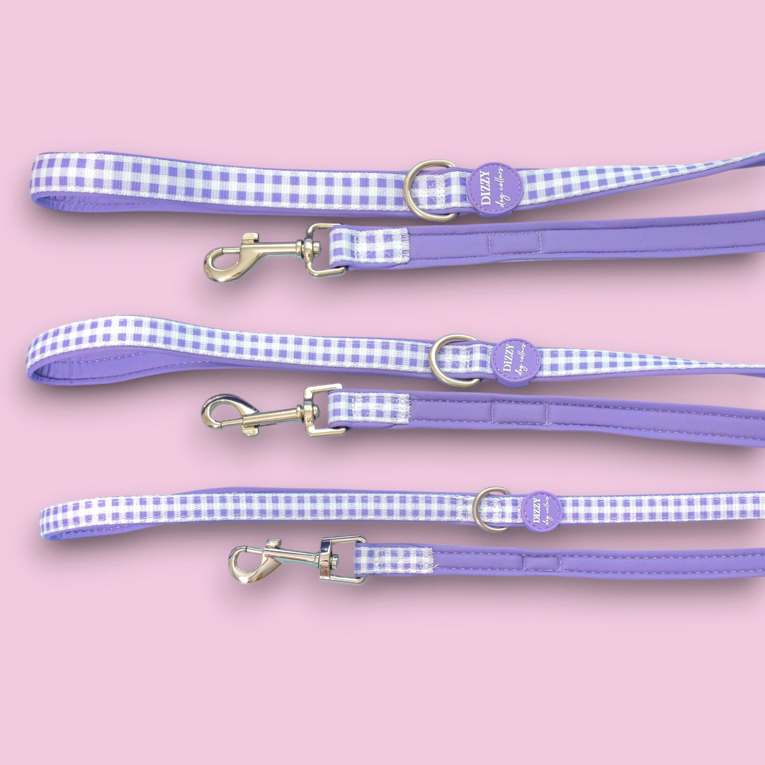 Lavender Gingham Dog Leash | Fully Padded Neoprene Lead