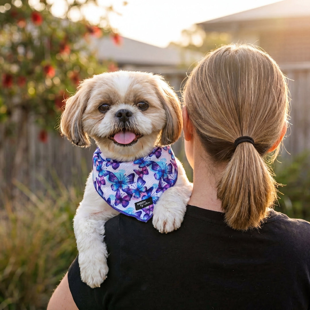 Person holding a small dog with a butterfly bandana outdoors