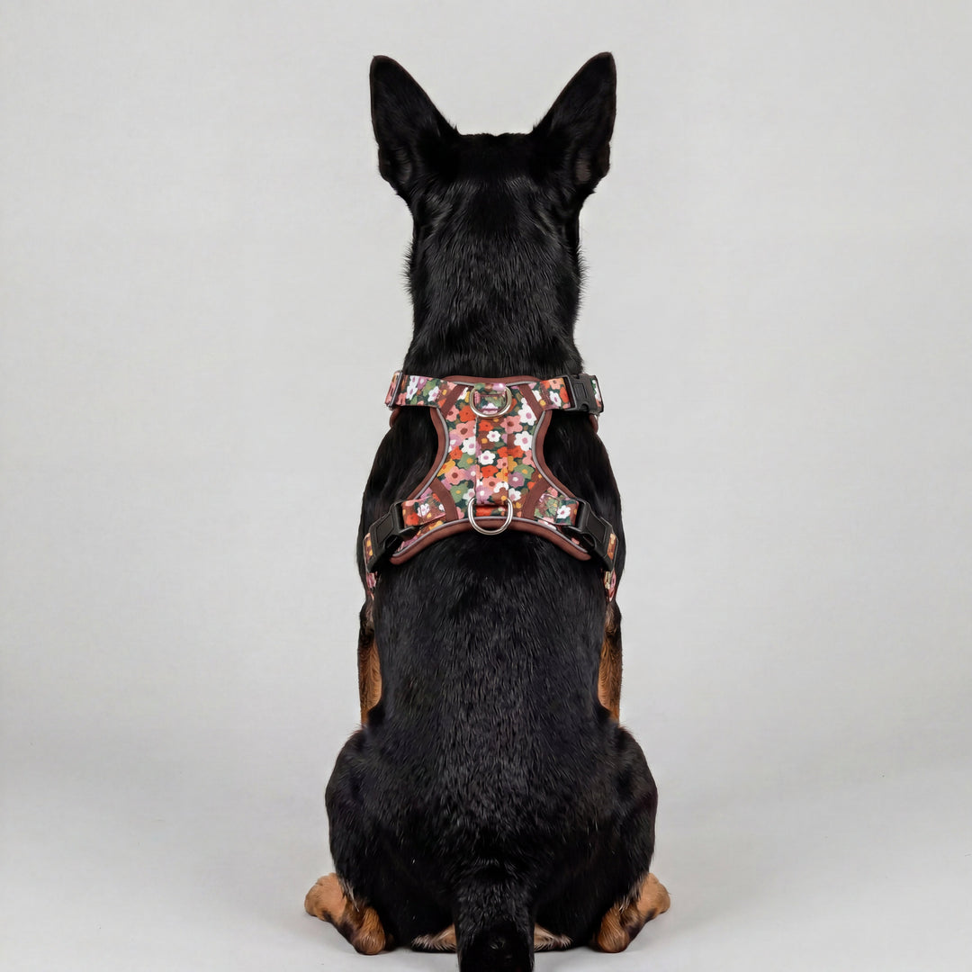 No Pull Dog Harness with Handle | Step in & Reflective | STAINLESS STEEL | Autumn Acres