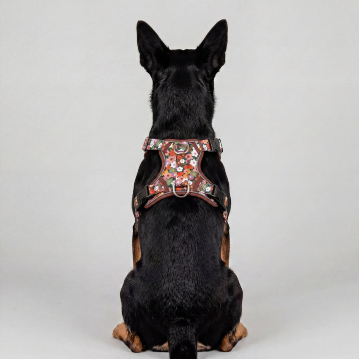 No Pull Dog Harness with Handle | Step in & Reflective | STAINLESS STEEL | Autumn Acres