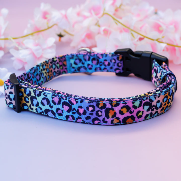 Rainbow Ombre Leopard Dog Collar | Canvas & Neoprene (Stainless Steel)