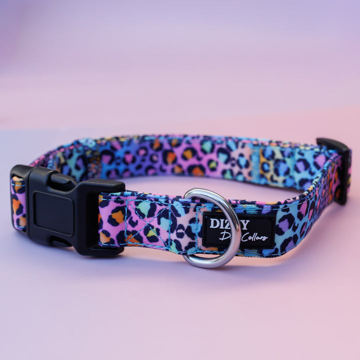 Rainbow Ombre Leopard Dog Collar | Canvas & Neoprene (Stainless Steel)