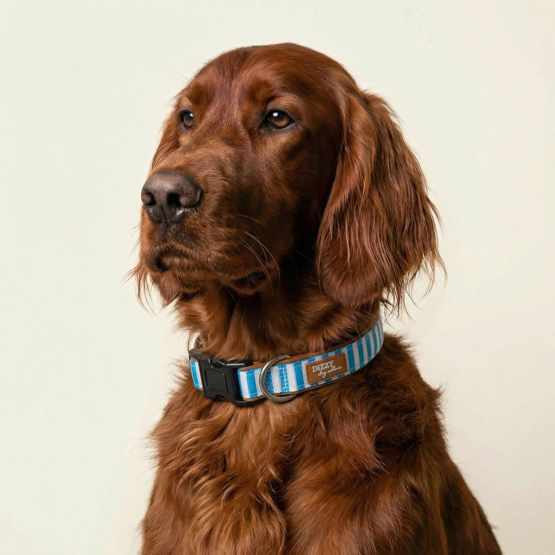 Seaside Stroll Dog Collar | Stainless Steel | Beach & Water Dogs ...
