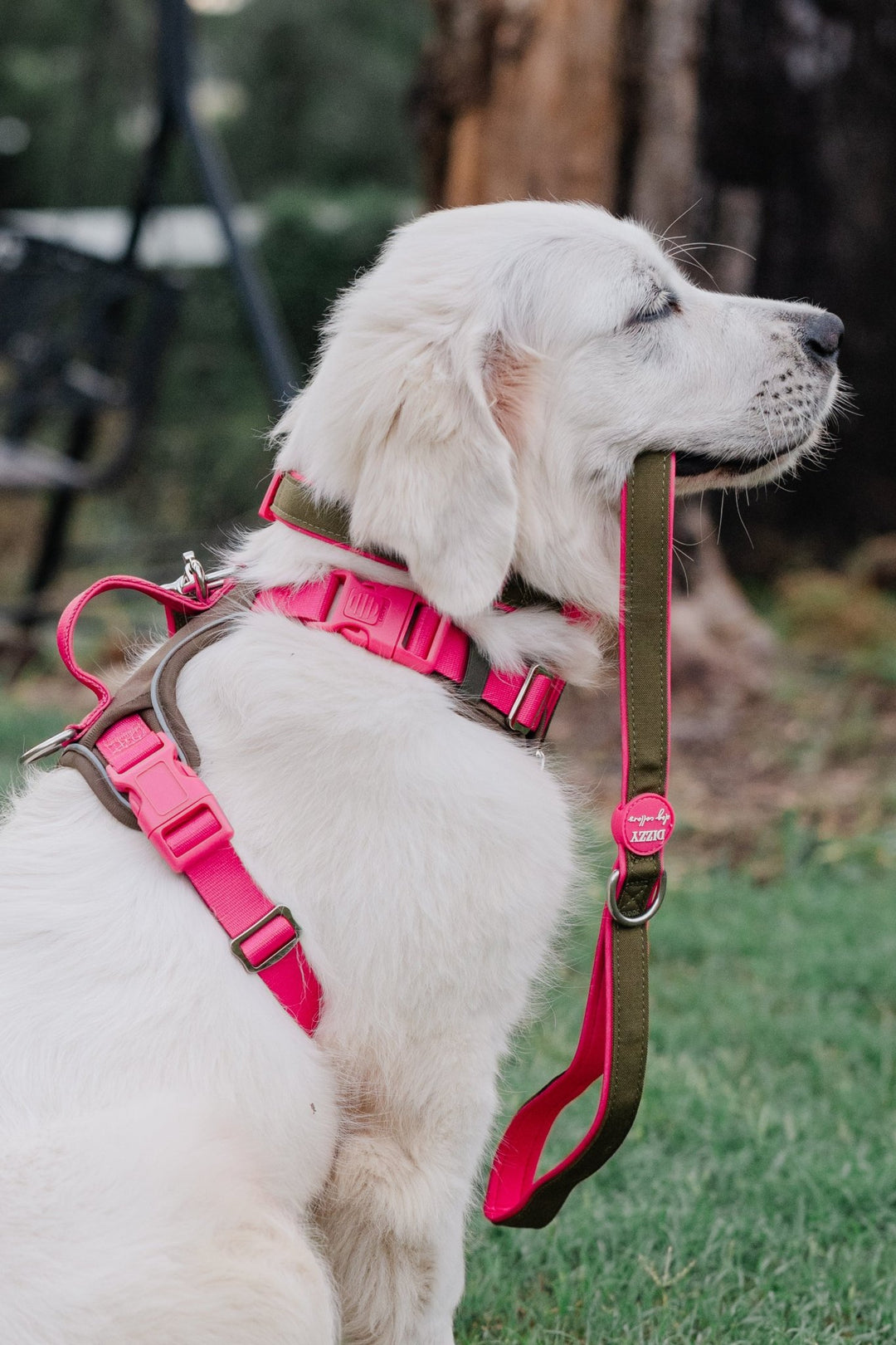 No Pull Dog Harness | Step-In Design with Handle | Reflective & Padded | The Fig: Stainless Steel