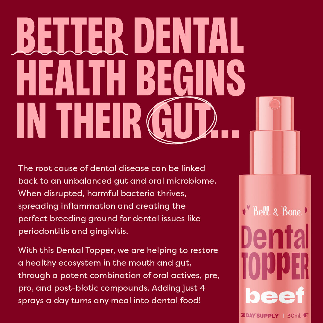 Bell & Bone Dog Dental Topper Beef 30ml