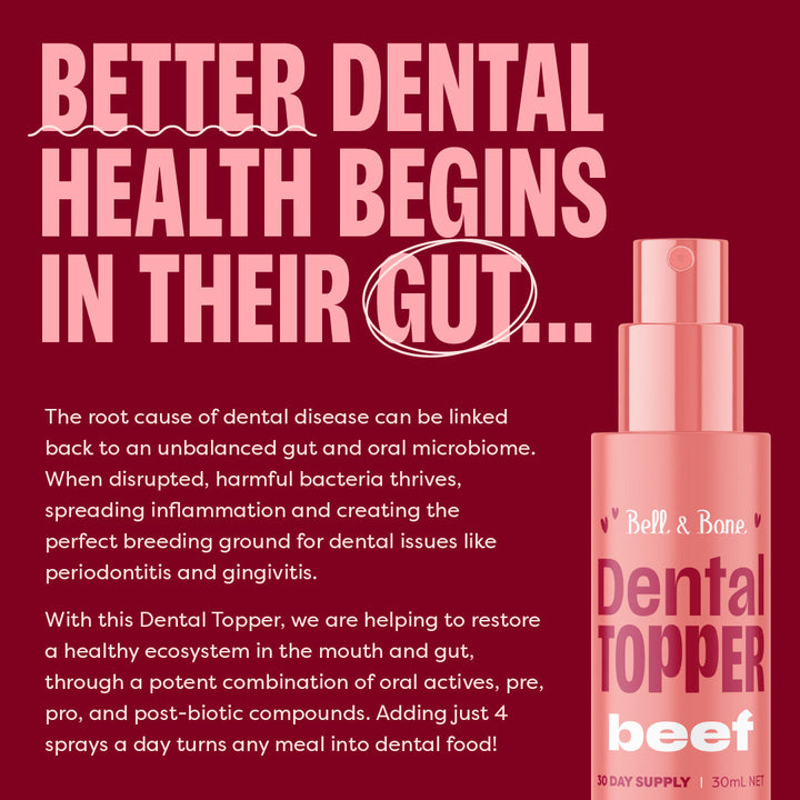Bell & Bone Dog Dental Topper Beef 30ml