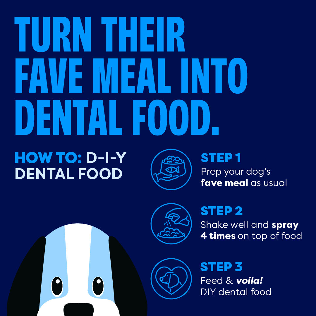 Bell & Bone Dog Dental Topper Lamb 30ml