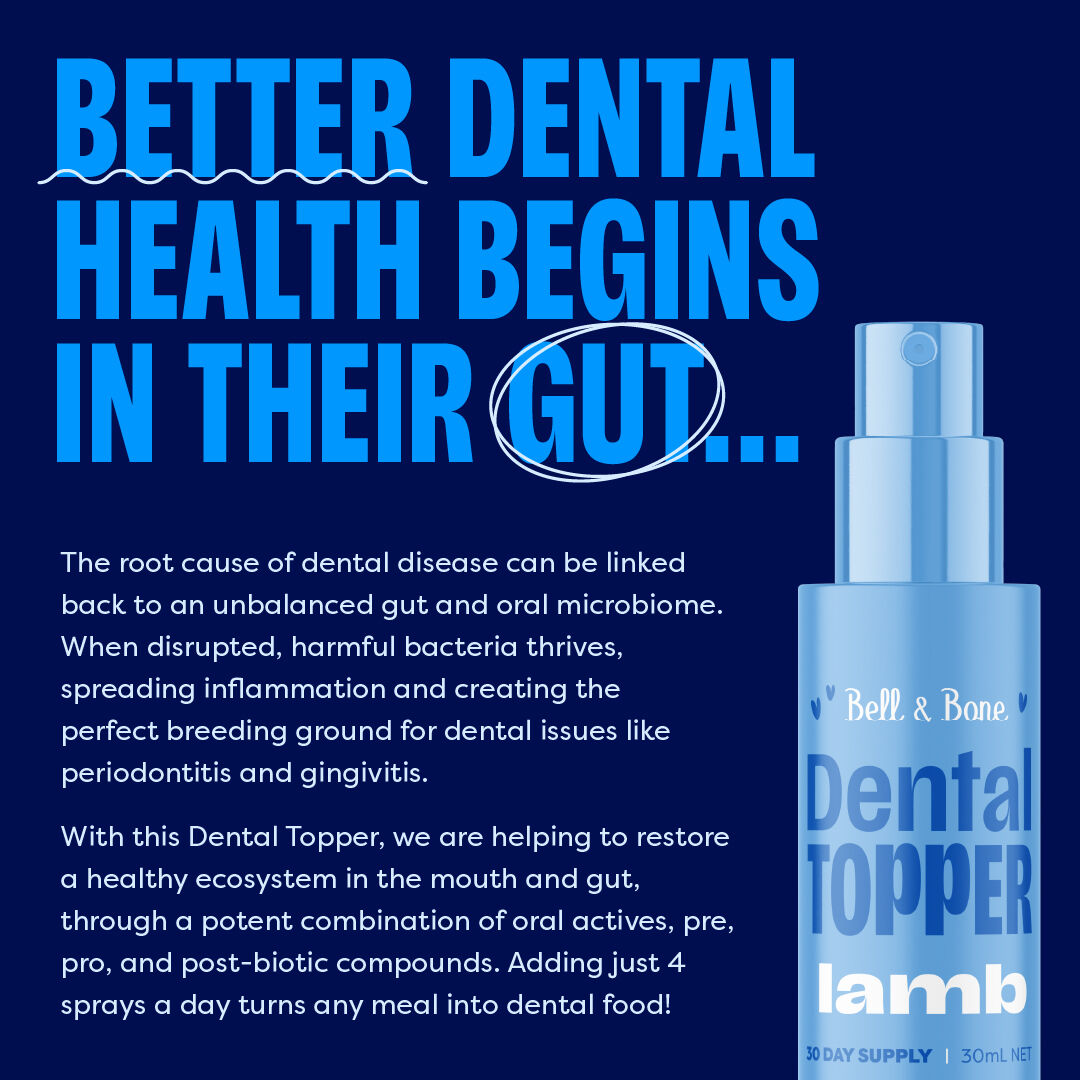 Bell & Bone Dog Dental Topper Lamb 30ml