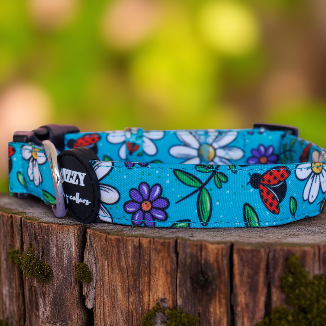 Ladybird Lane Dog Collar | Canvas & Neoprene Dog Collar