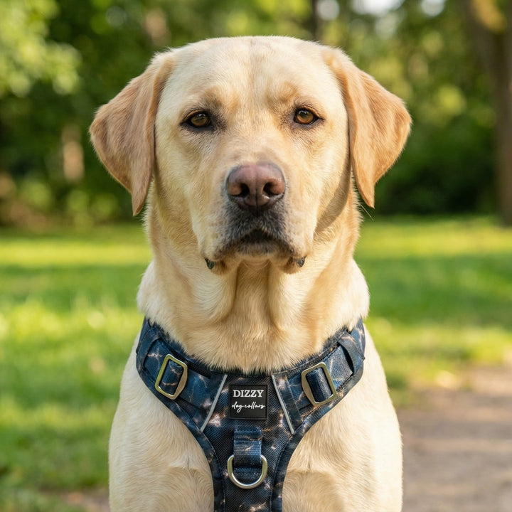 No Pull Dog Harness with Handle | Step in, Reflective & Stainless Steel | Nebula Nightfall