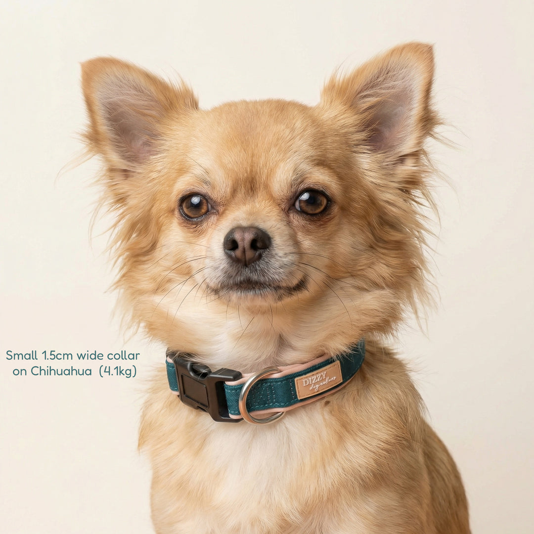 The Cove Dog Collar | Canvas & Neoprene