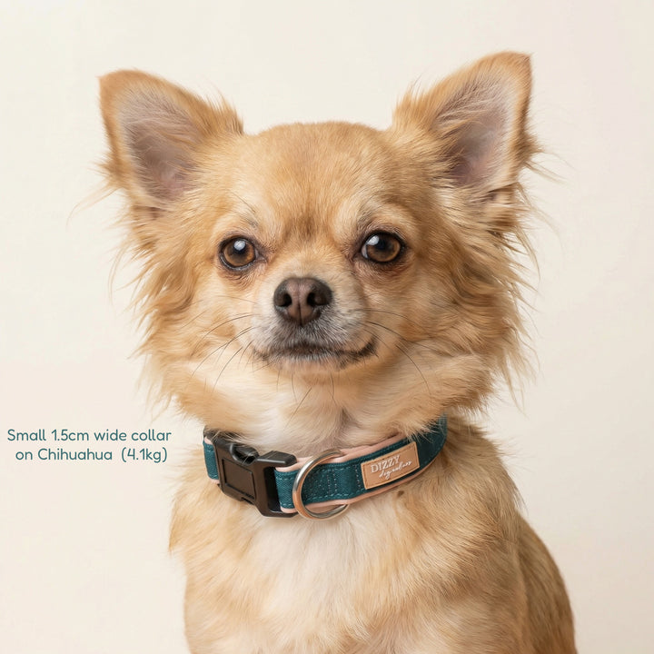 The Cove Dog Collar | Canvas & Neoprene