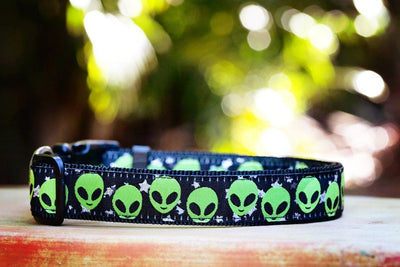 alien dog collar
