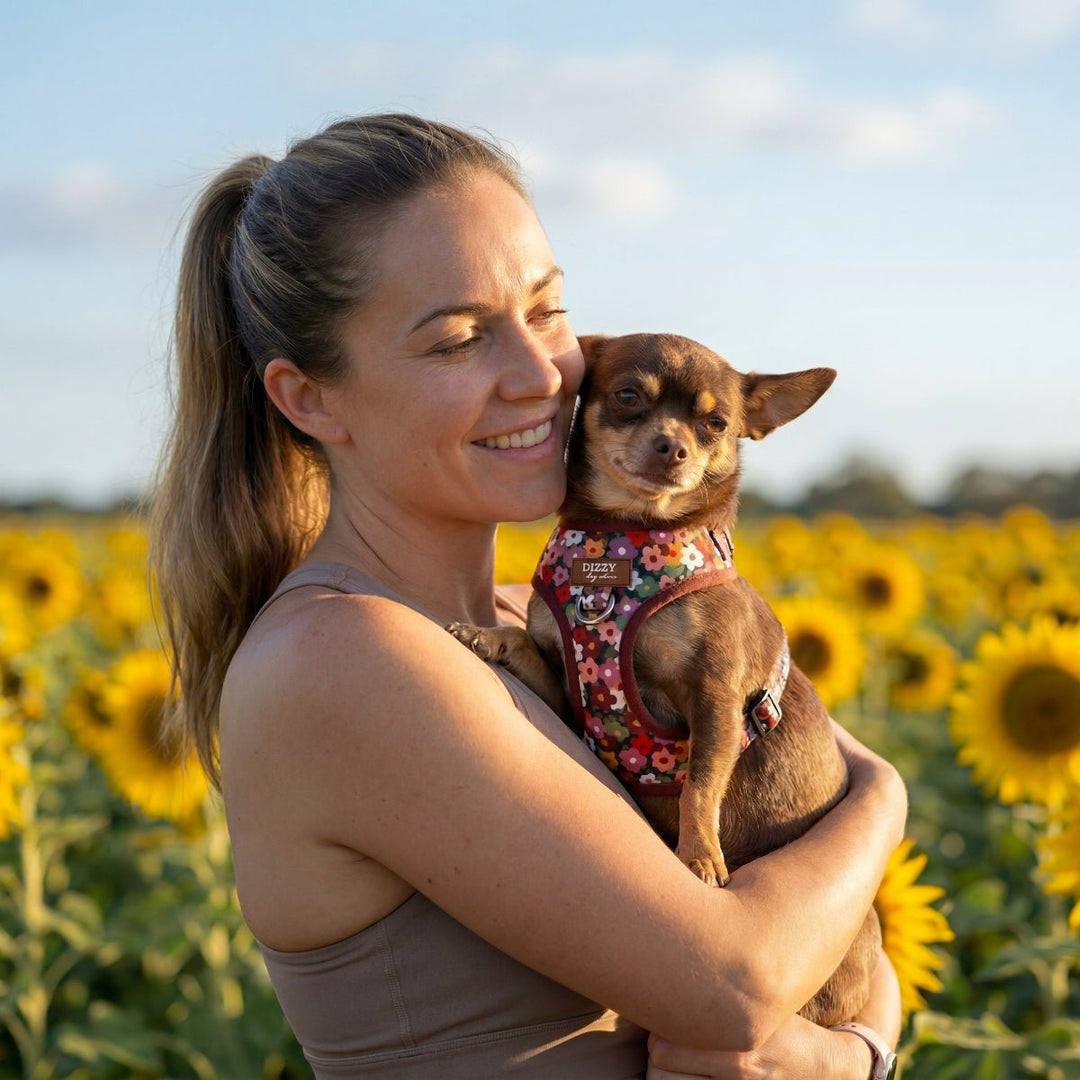 Woman holding a small dog in a sunflower field