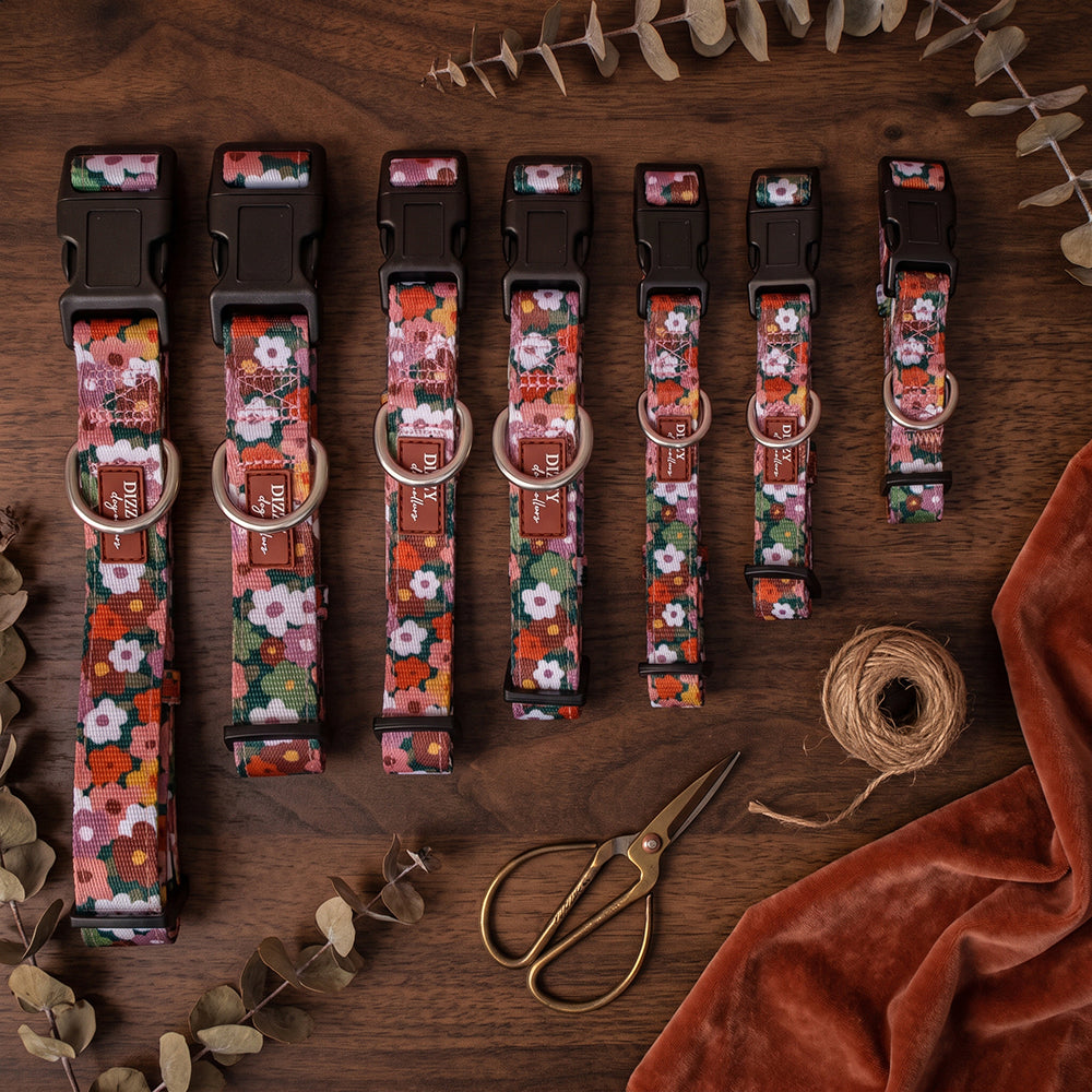 Autumn Acres Dog Collar | Neoprene Padded | Stainless Steel Hardware